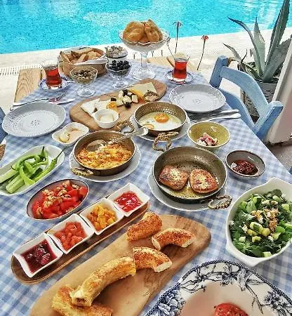 Katre 2* אלאקאטי